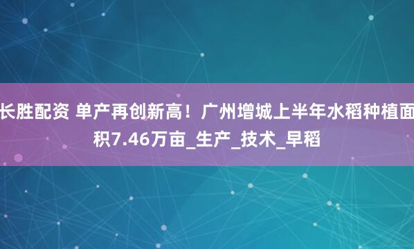 长胜配资 单产再创新高！广州增城上半年水稻种植面积7.46万亩_生产_技术_早稻